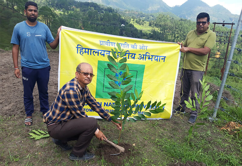 500 Trees Planted During August-September 2023